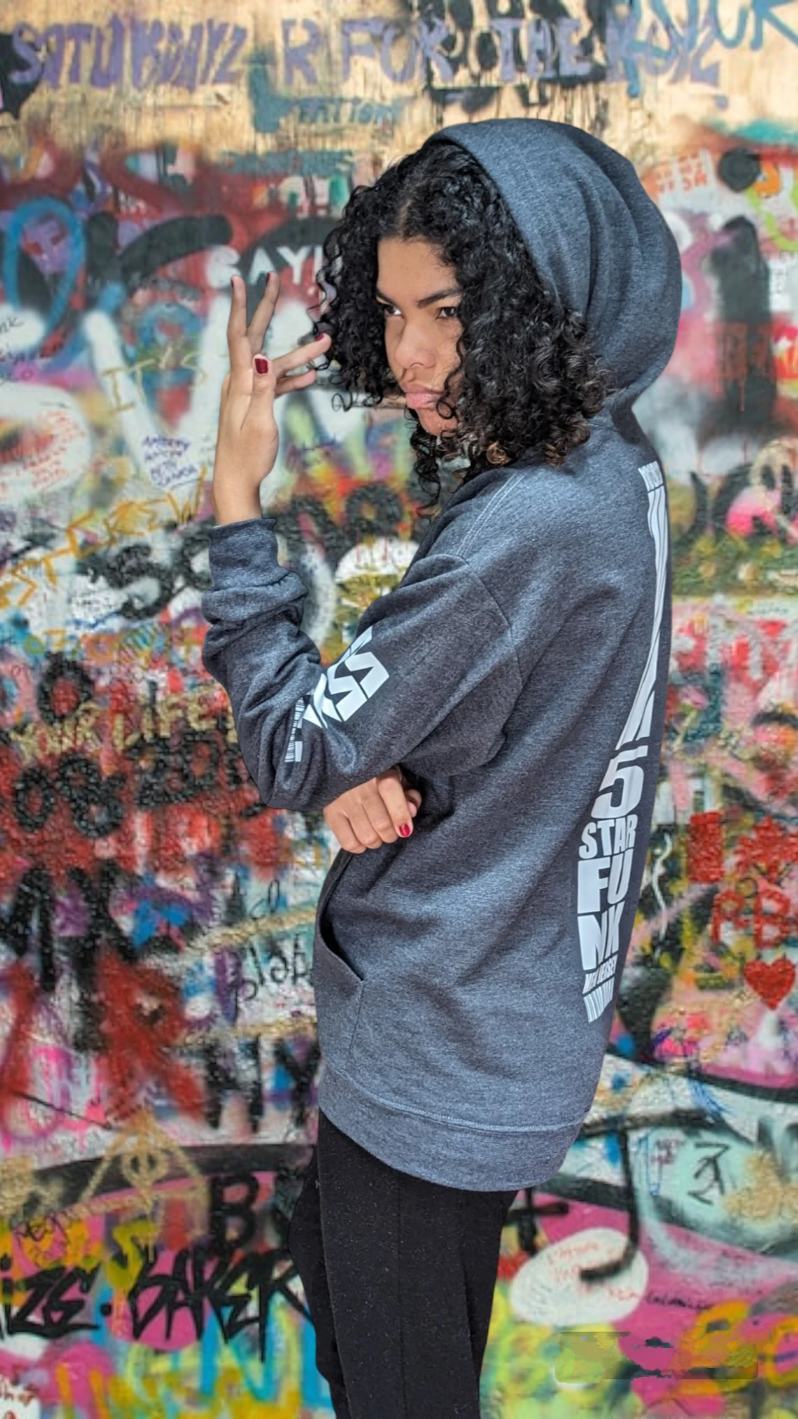 5 Star Funk Phase 2 Techwear Logo Hoodie, unisex, graphic apparel, pullover, streetwear