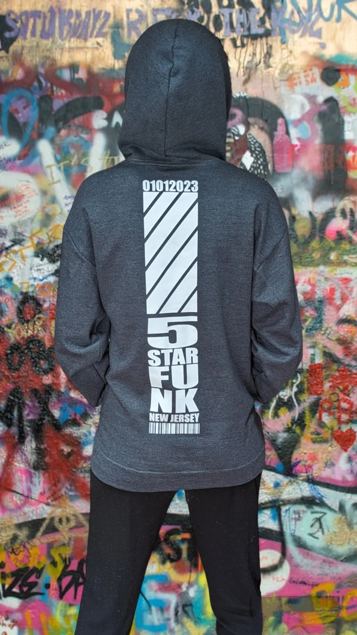 5 Star Funk Phase 2 Techwear Logo Hoodie, unisex, graphic apparel, pullover, streetwear